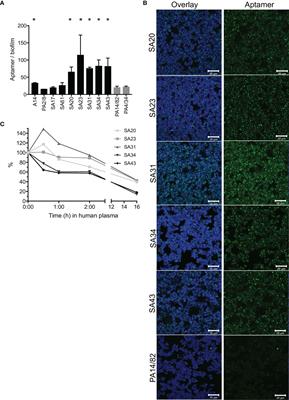 Aptamer-Targeted Drug Delivery for Staphylococcus aureus Biofilm